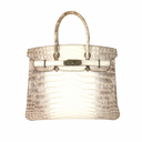 Article The Hermès Himalaya...