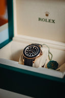 Collection 16Rolex