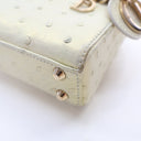 Dior Micro Iridescent Ostri...