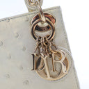 Dior Micro Iridescent Ostri...