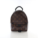 Louis Vuitton Monogram Palm Springs Mini