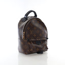 Louis Vuitton Monogram Palm Springs Mini