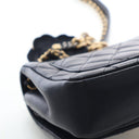 Chanel Small Lambskin Priva...
