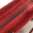 Dior Medium Python Lady Dior
