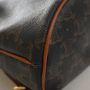 Celine Mini Triomphe Canvas...