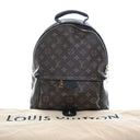 Louis Vuitton Monogram Palm...