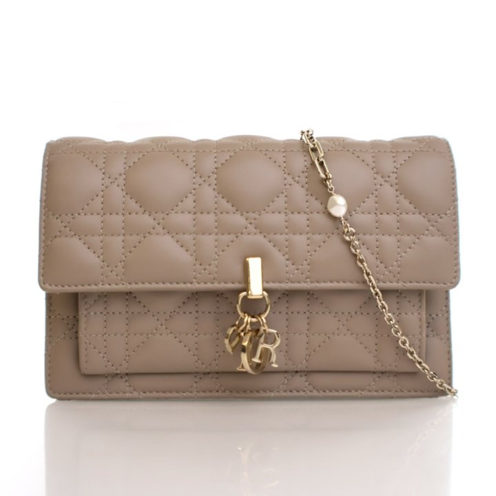 Dior Lambskin Daily Pouch With Chain