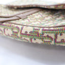 Dior Medium Oblique Saddle Bag