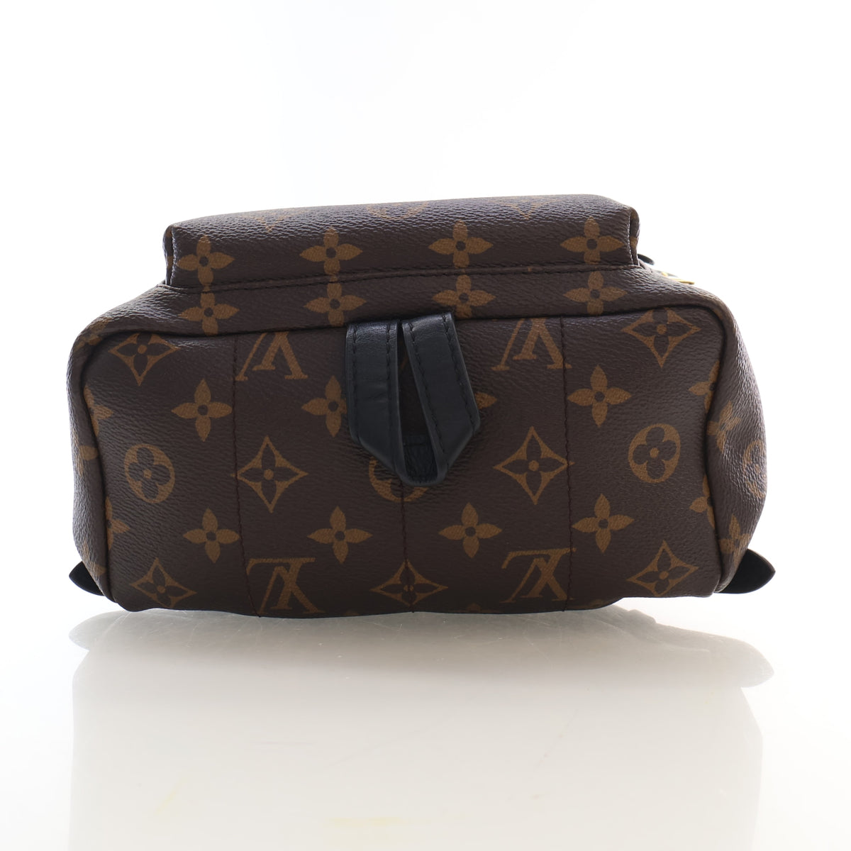 Pre-Owned Louis Vuitton PM Monogram Palm Springs, side view