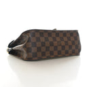 Louis Vuitton Damier Ebene ...