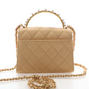 Chanel Lambskin Flap Bag Pe...