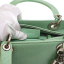 Dior Medium Python Lady Dior