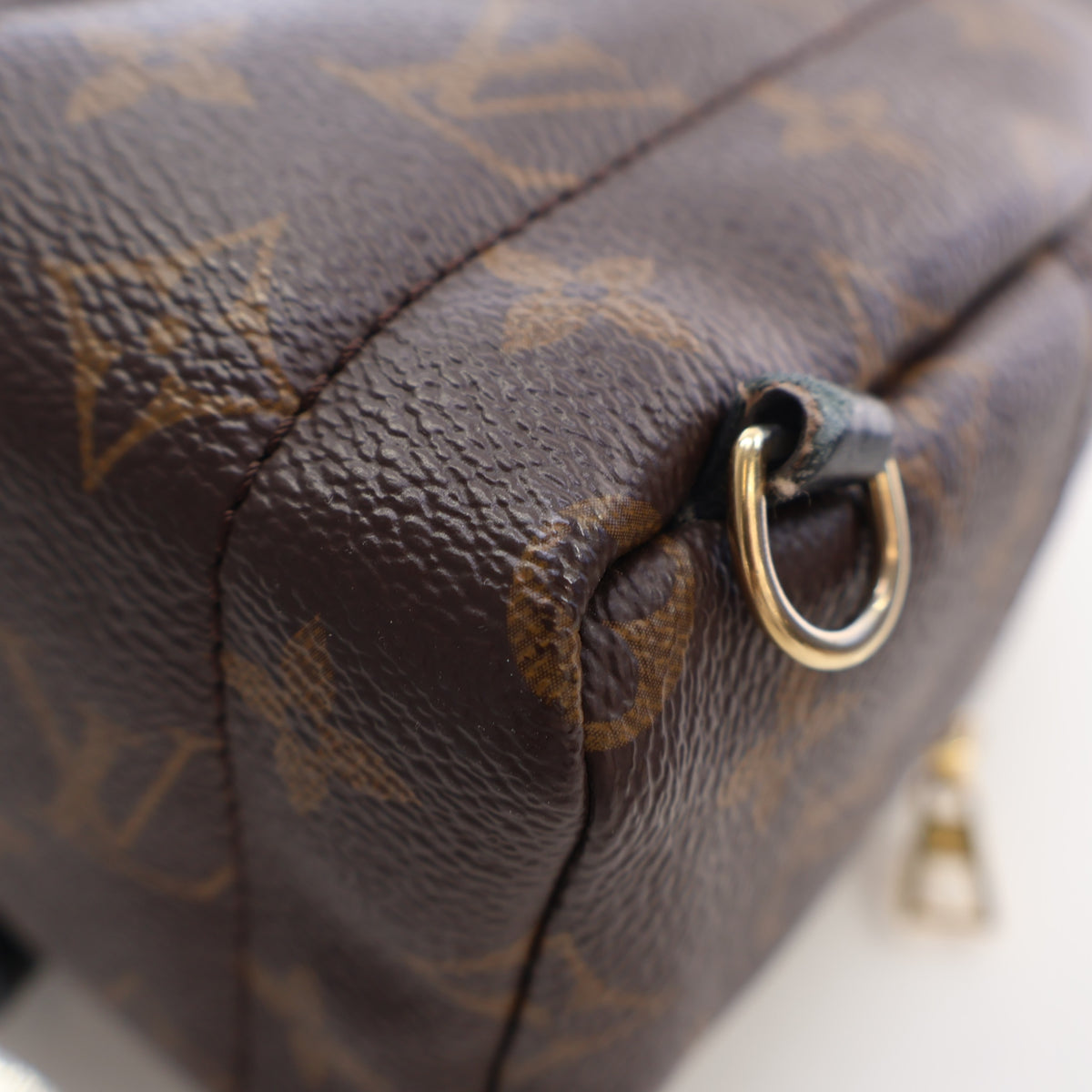 Louis Vuitton Monogram Palm Springs Mini, photo 13 of 16