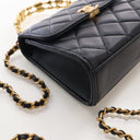 Chanel Mini Lambskin Coco E...