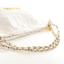 Chanel Small Calfskin 22 Hobo