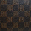 Louis Vuitton Damier Ebene ...