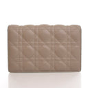 Dior Lambskin Daily Pouch W...