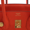Hermes Feu Togo Birkin 25