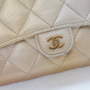 Chanel Metallic Lambskin Ph...