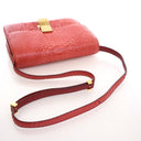 Celine Medium Python Box Bag