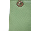 Dior Medium Python Lady Dior