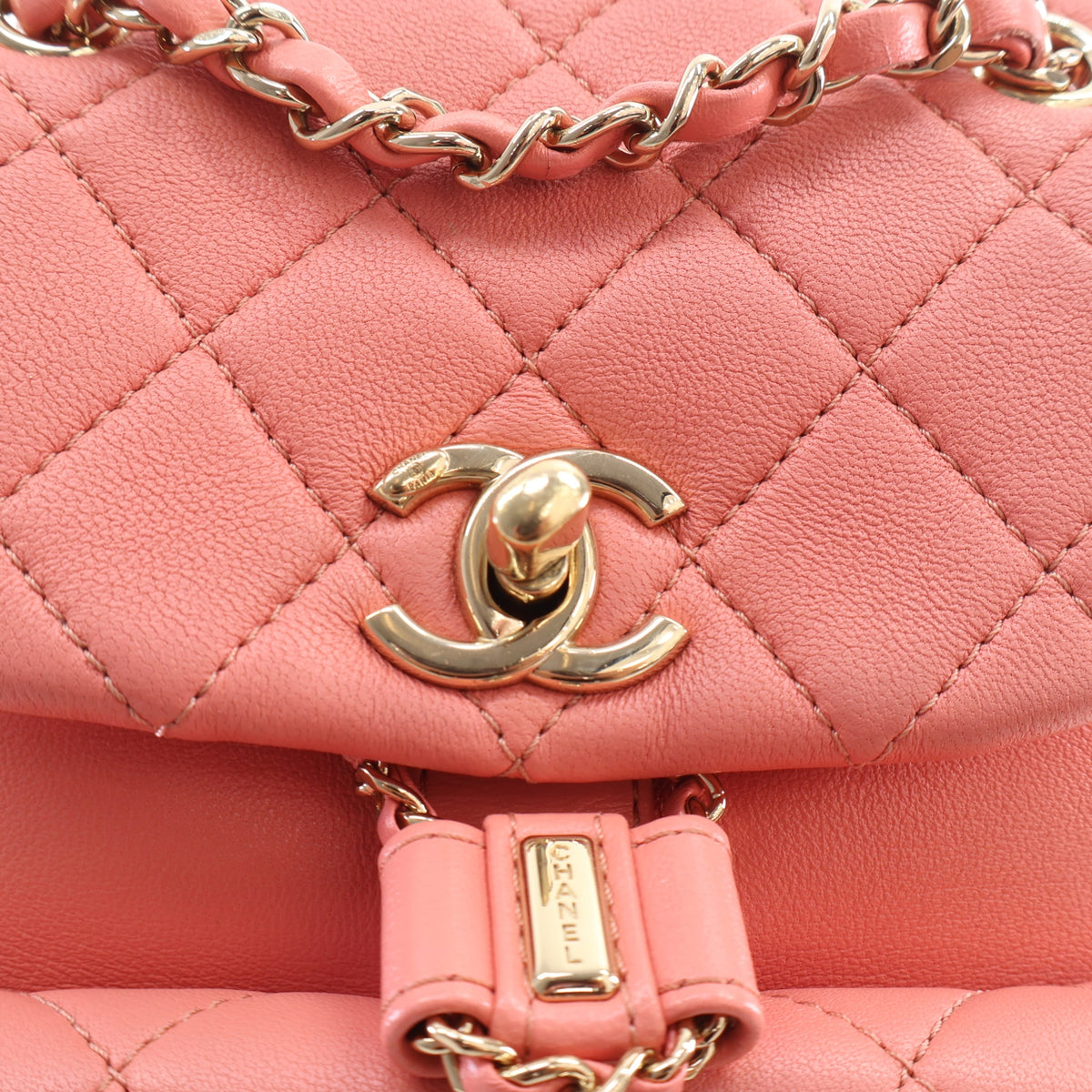 Chanel Small Lambskin Duma Backpack, photo 6 of 22