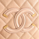 Chanel Medium Caviar CC Fil...