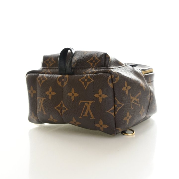 Louis Vuitton Monogram Palm Springs Mini, photo 6 of 16