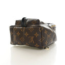 Louis Vuitton Monogram Palm...