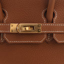 Hermes Gold Togo Birkin 25 