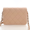 Chanel Mini Caviar Like a W...