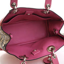 Dior Small Calfskin and Pyt...