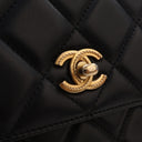 Chanel Small Lambskin Top H...