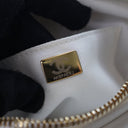 Chanel Small Calfskin Camer...