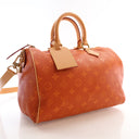 Louis Vuitton Calfskin Mono...