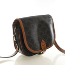 Celine Medium Triomphe Canv...