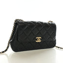 Chanel Mini Lambskin Chain ...