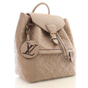 Louis Vuitton Monogram Mont...