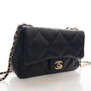 Chanel Small Lambskin Top H...