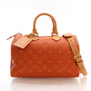 Louis Vuitton Calfskin Mono...