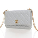 Chanel Lambskin Camellia Pe...