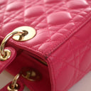 Christian Dior Medium Lambs...