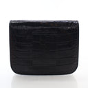 Hermes Niloticus Crocodile ...