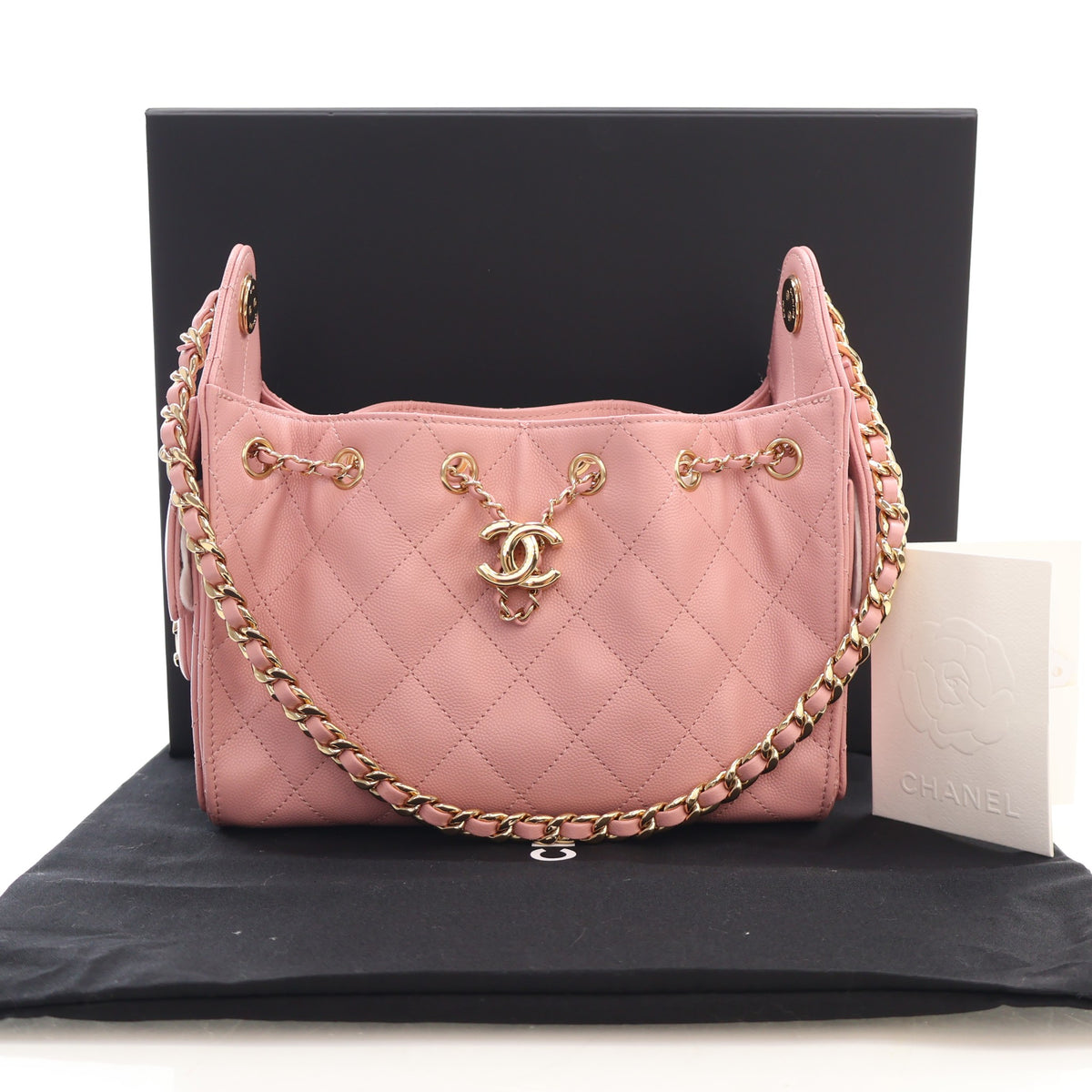Pre-Owned Chanel Hobo Mini Caviar Leather 25, shown with dust bag and packaging, photo 16 of 16