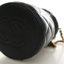 Chanel Mini Lambskin CC Van...