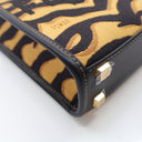 Fendi Mini Canvas Sunshine ...