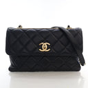 Product - Chanel Medium Lam...