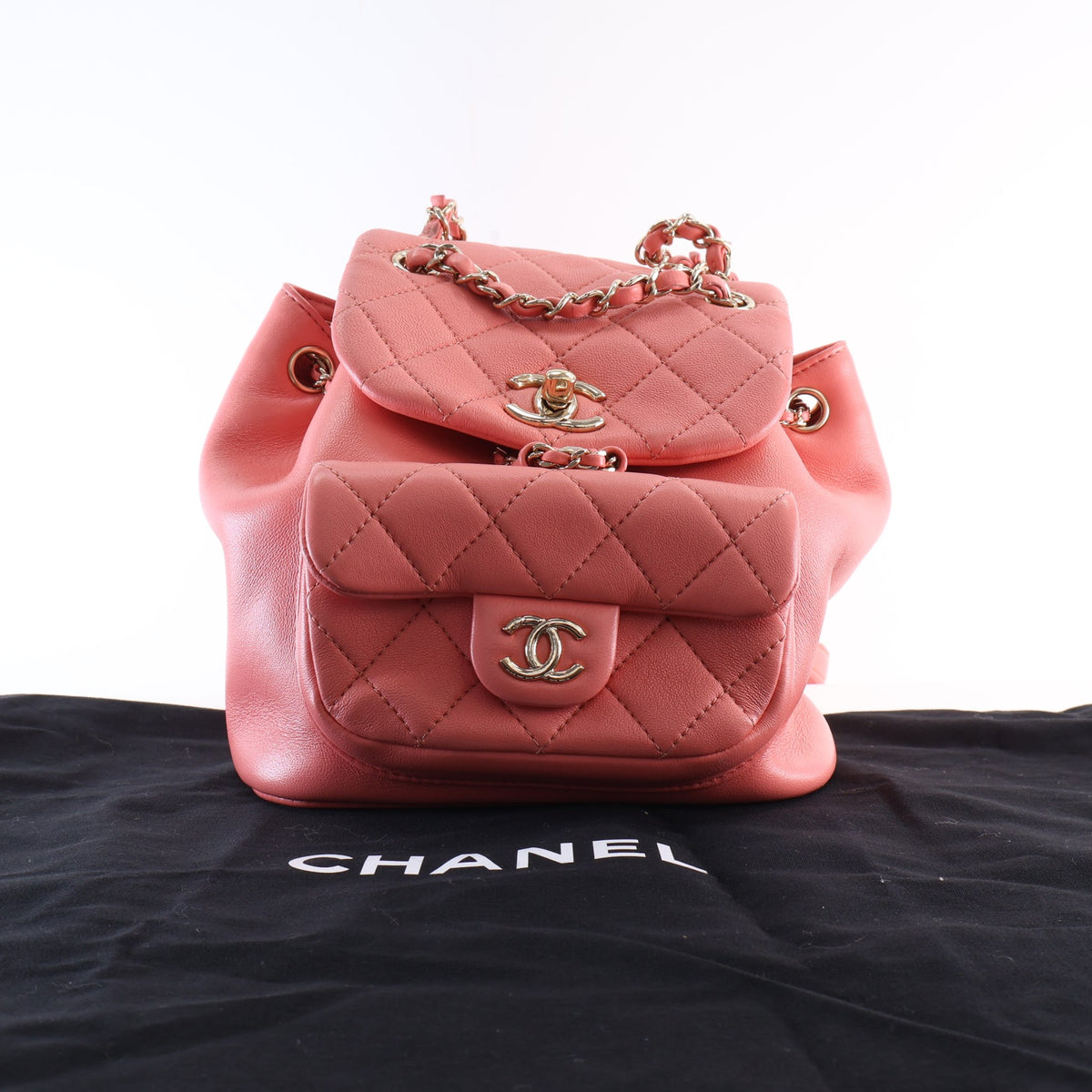 Chanel Small Lambskin Duma Backpack, photo 22 of 22