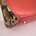 Dior Small Calfskin and Pyt...