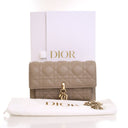 Dior Lambskin Daily Pouch W...